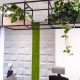 rośliny biuro - jakie najlepsze