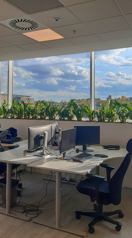 biurze z roślinami na parapecie oczyszczającymi powietrze