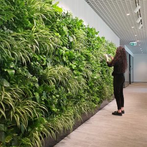 Pielęgnacja roślin biurowych Katowice
