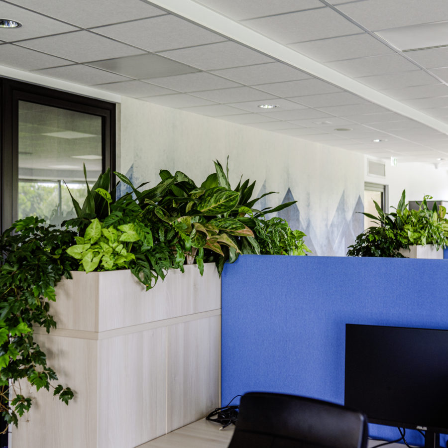 serwis kwiatowy w biurze