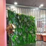 Ogród wertykalny stojący